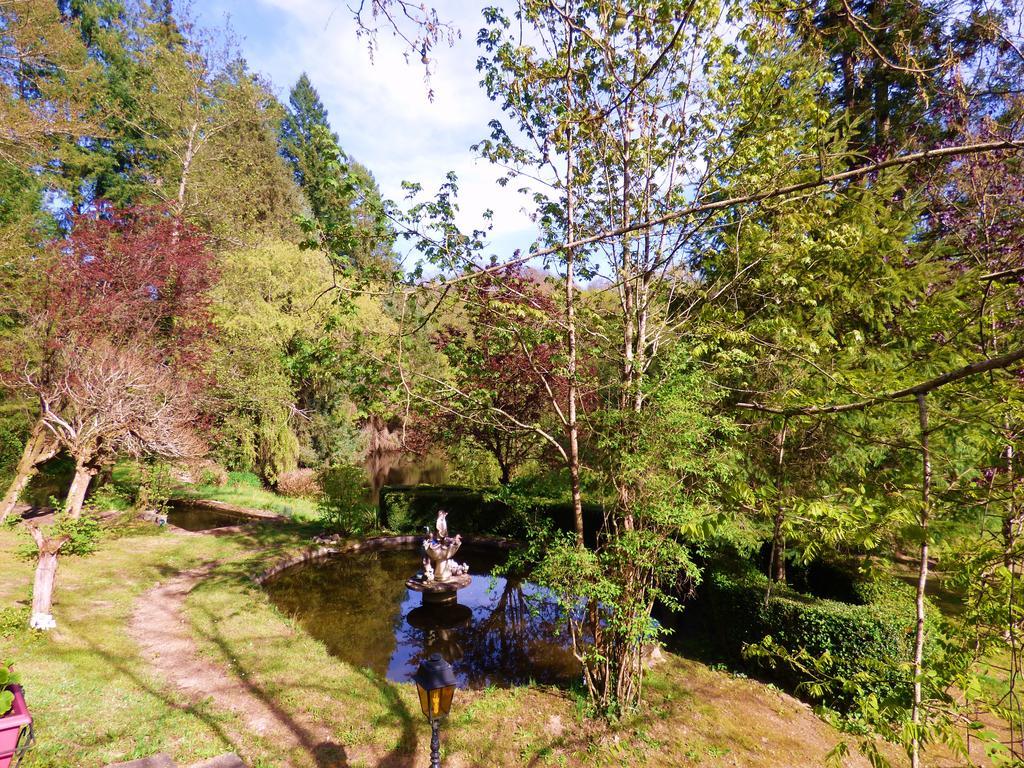 Beau Site Guimauve Et Vieilles Dentelles Bed & Breakfast Royères-Saint-Léonard Dış mekan fotoğraf